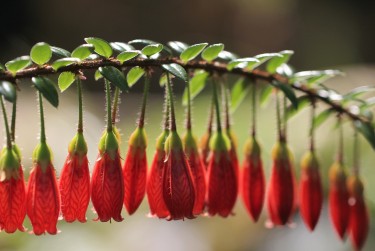 广州黄埔区1私人快速借钱网，轻松解决资金难题