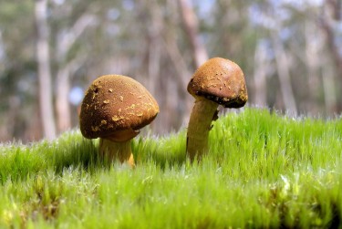 广州黄埔区1私人老板放款：轻松融资的秘密通道